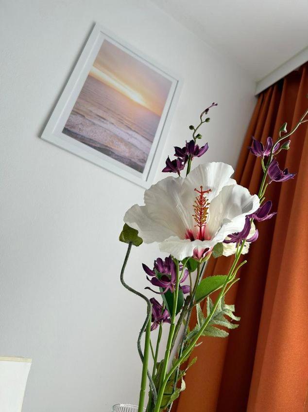 Apartment Harmony Graz Bagian luar foto